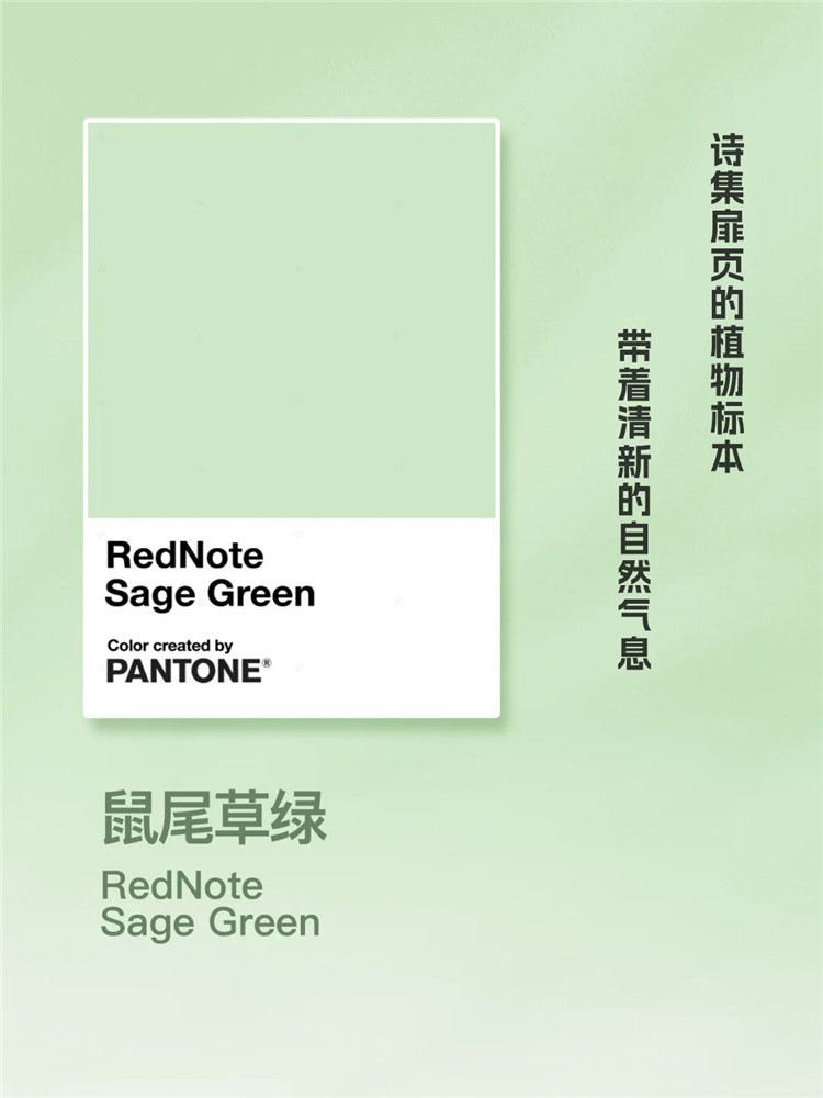 家居配色,武漢裝修,武漢裝修設(shè)計